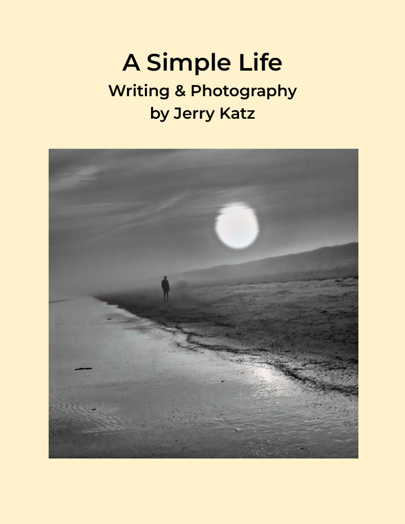 Una vita semplice, copertina